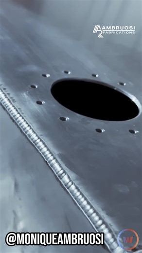 19K views · 224 reactions | This week we wanted to shine a light on...