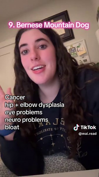 Were you expecting to see your favorite breed on this list? no hate if you love these breeds! this is just my opinion and based on the health conditions I’ve seen and that we learn about most often in vet school #vetmed #dog #dogbreeds #vetstudent #dogsoftiktok