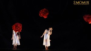 2.5K views · 16 reactions | Celebrated around the world for...