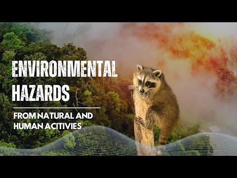Environmental hazards