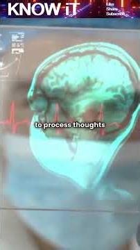 Could Your Brain Be Processing Information Using Quantum Entanglement?