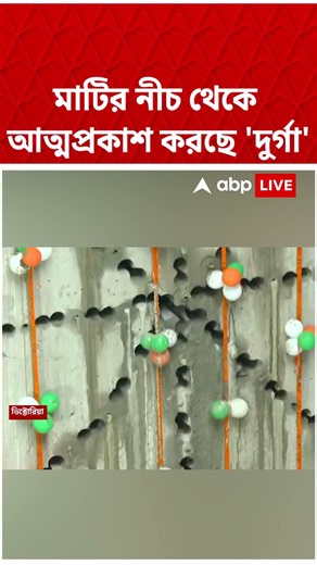 মাটির নীচ থেকে আত্মপ্রকাশ করছে 'দুর্গা' #abpananda #shorts