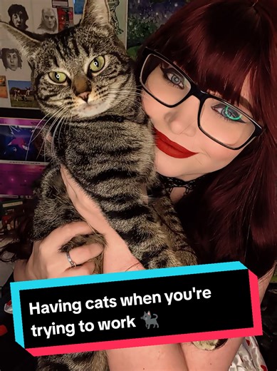 The Challenges of Being a Cat Parent