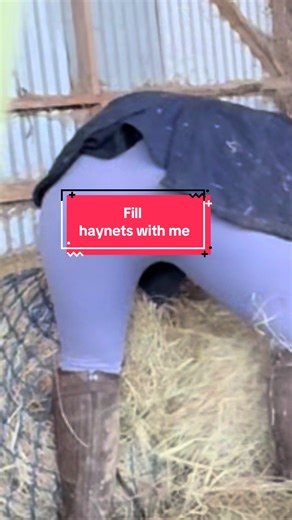 How to Fill Haynets Efficiently for Horses