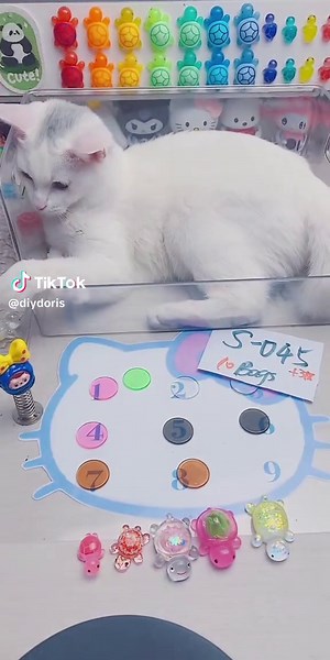 You’re the next lucky one! Come join the livestream now! 🎉😽😽#Tatcha #cat #diy