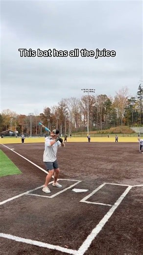 Stinger Palmetto by Monsta Slowpitch Softball Bat 2PC USSSA💥