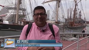 Historic Harbor Tour and Dolphin Watch - Galveston Historical Foundation