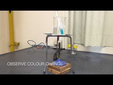 Food Tests: Benedict's Test