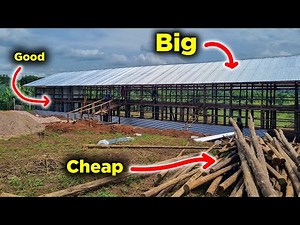 How I Build Big, Cheap Chicken Houses