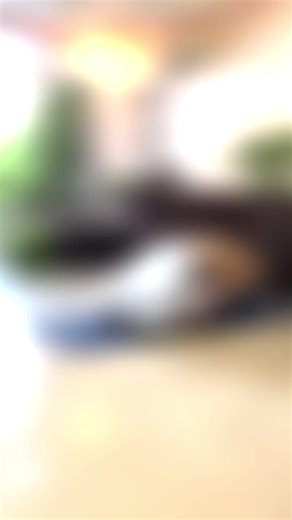 Few backbends from second series of Ashtanga yoga 🧘🏼‍♂️ ✨ #ashtanga #yoga #kapotasana #backbend #backflexibility