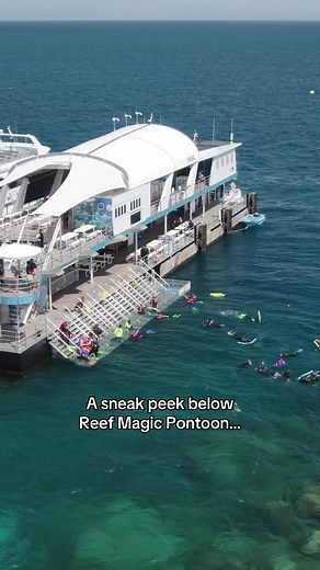 Exploring the Great Barrier Reef from Reef Magic Pontoon