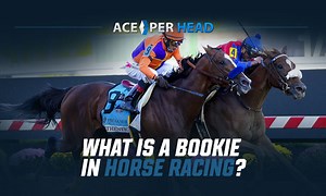 What Is a Bookie in Horse Racing? | Racebook Betting 101