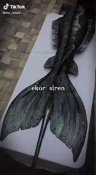 Siren vs Mermaid: Key Differences Explained