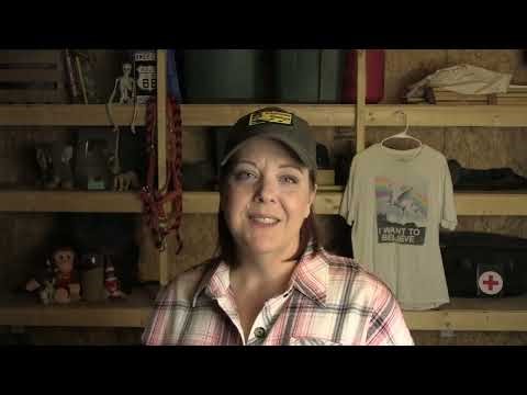 Let's talk about Jefferies counting on lame duck Trump for the ACA....