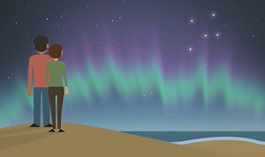 280K views · 3.9K reactions | Aurora alert! The aurora australis, or...