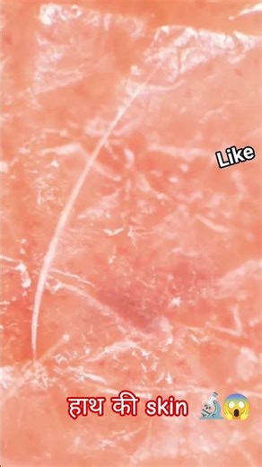 Hand skin zoom in microscope #shorts #shortsfeed #microscope #science #facts mymicrolab