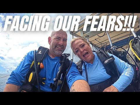 SCUBA DIVING EXCURSION IN ST. THOMAS//Discover Scuba Diving