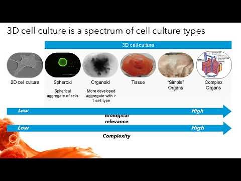 Advances in Three-Dimensional Cell Culture in Drug Research and Discovery