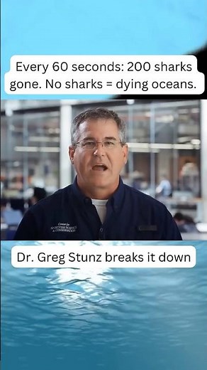 Hot Science TV - Rethink the Shark- Save the Sharks During Shark Week