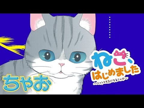 【ボイスコミック】『ねこ、はじめました』 第11話 人間にもどるヒント！？ ★ちゃおの人気まんがを動画で！★【まんが動画】