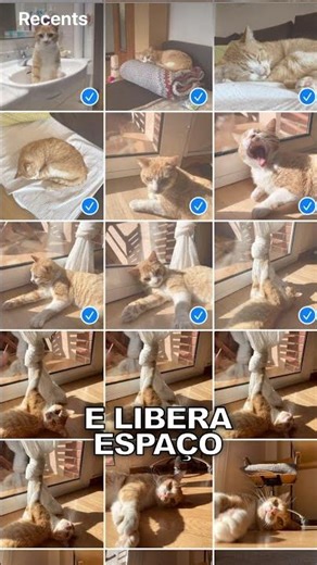 AI Cleaner: Libere espaço no seu iPhone