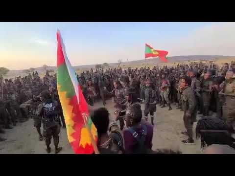 #OLF 🟩⬛️🟥🟨 •|•• ኦነግ ወደፊት !!! #Ethiopia