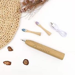 [Hot Item] New Design Bamboo Electric Toothbrush 100% Biodegradable