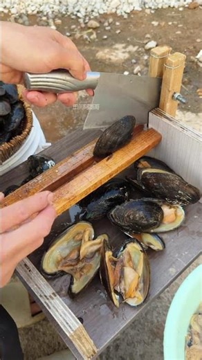 Unlock the Mystery of Opening Freshwater Mussels