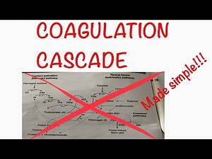 COAGULATION CASCADE [IN VIVO & IN VITRO] MADE SIMPLE: D&N Medical Series
