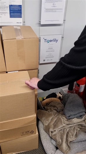 1.4K views · 32 reactions | Our 2026 Brochures have landed, keep an eye on your letter box as they will be posted out next week. | Elgar Coach Tours | Facebook