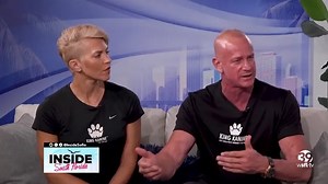 How CBD For Dogs Can Improve Your Pet’s Wellness