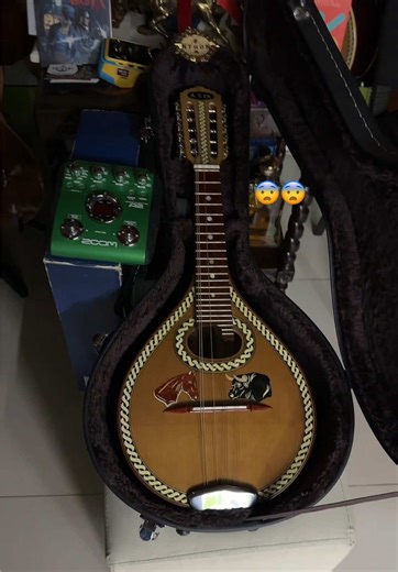 Presentamos las mejores mandolinas Anthonycha de Casa Musical Anthony. 🔥 Instrumentos unidas con las mejores maderas del mundo, seleccionadas para lograr mayor resonancia, potencia y brillo en cada interpretación. Equipadas con sistema original Fishman americano, que garantiza afinación precisa, señal limpia y sonido profesional en escenario y estudio. 🎶 ✨ Lo mejor de Casa Musical Anthony para músicos exigentes y verdaderos conocedores. #CasaMusicalAnthony #MandolinasAnthonycha #FishmanOrigina