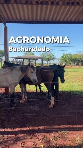 Inovação e ciência que transformam o futuro: conheça a UFPR Palotina! 🌾🔬