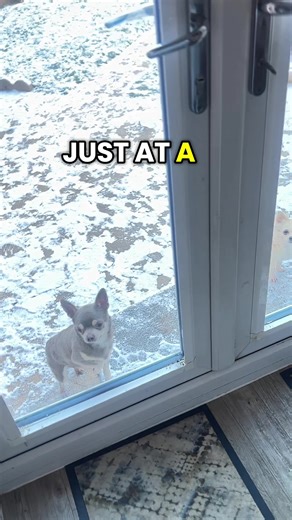 e_r_homestore (@e_r_homestore)’s videos with original sound - faye