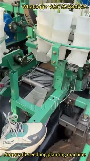 Automatic Seedling Planting Machine | High Efficiency Vegetable Transplanter Working Demonstration