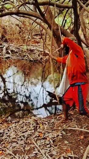 🎯🐟Primitive Bow Fishing Skills– Amazing Tribal Technique You Must See! #wildlife #bowhunting #shorts
