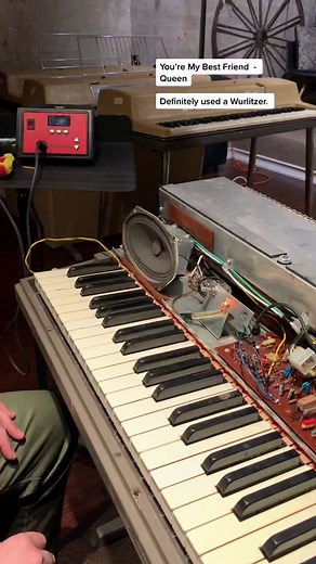 Tropical Fish on TikTok