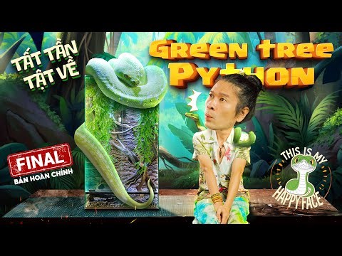 FIXED | ALL ABOUT TREE PYTHON | GREEN TREE PYTHON: THE "GEM" OF THE REPTILE KINGDOM