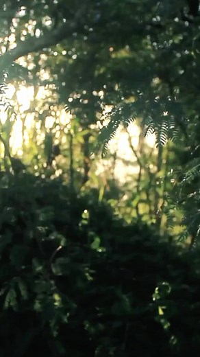 Did you know you can get your paint delivered to your door? We offer color tools made from real paint so what you see is what you get. Head to c2paint.com! | C2 Paint | Facebook