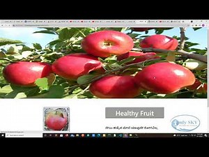 Deep Learning based Apple fruit disease prediction and pesticides suggestion using AI
