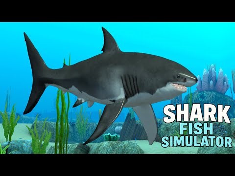 Shark Fish Simulator Gameplay