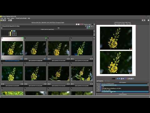 Qimage Ultimate - Printer Settings