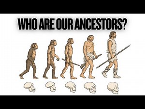 Timeline of Our Extinct Human Ancestors