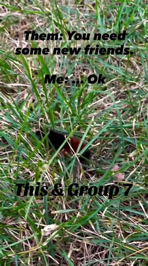 My crew… #Group7 #g7 #fyp #foryoupage #7
