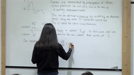 Mathematical Physiology, Lecture 4- Ionic currents and the Hodgkin-Huxley model - 4th year lecture - Part 015