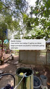 10K views · 185 reactions | Implementing simple biosecurity measures in our poultry farm #poultryfarming #RTLchicken #layerchicken | Dodong King | Facebook