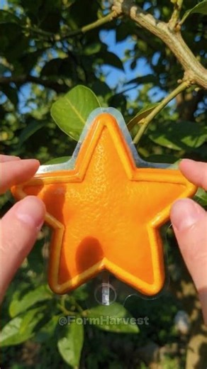 You Won’t Believe This Orange Shape 🍊⭐
