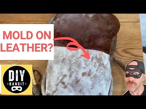 ️🔥 How to Get Rid of White Powdery Mold / Mildew on Leather➔ (Safely Clean 100% Genuine Leather)