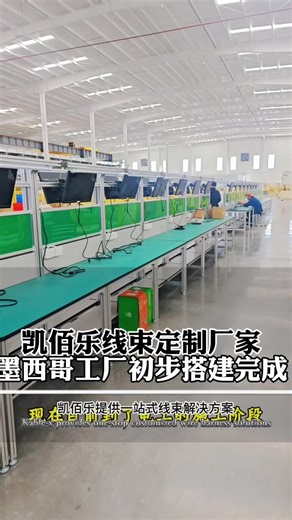 墨西哥工厂初建立