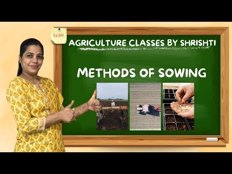 Methods of Sowing | Broadcasting, Drilling, Dibbling, Planting & Transplanting | BSc Agriculture